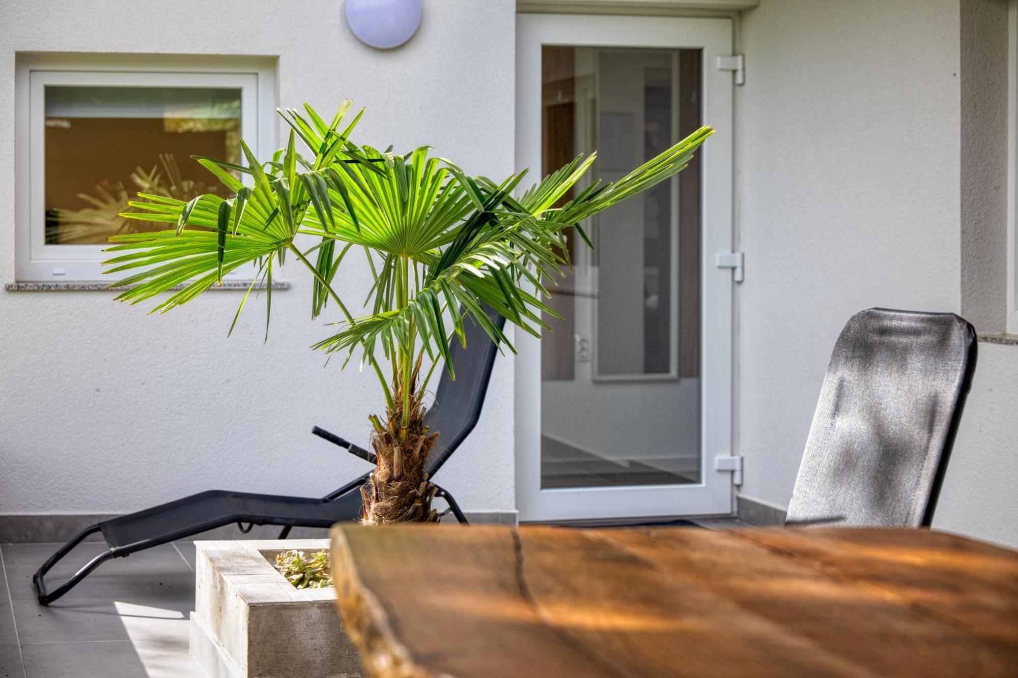 סלוניי Apartman Grey מראה חיצוני תמונה